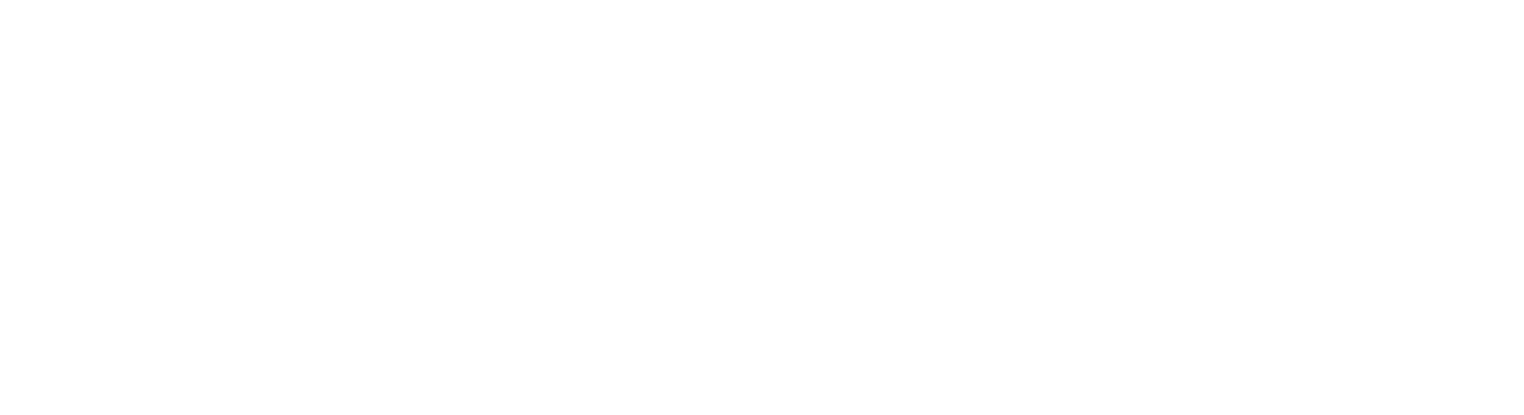Logo Vendiusato Bianco